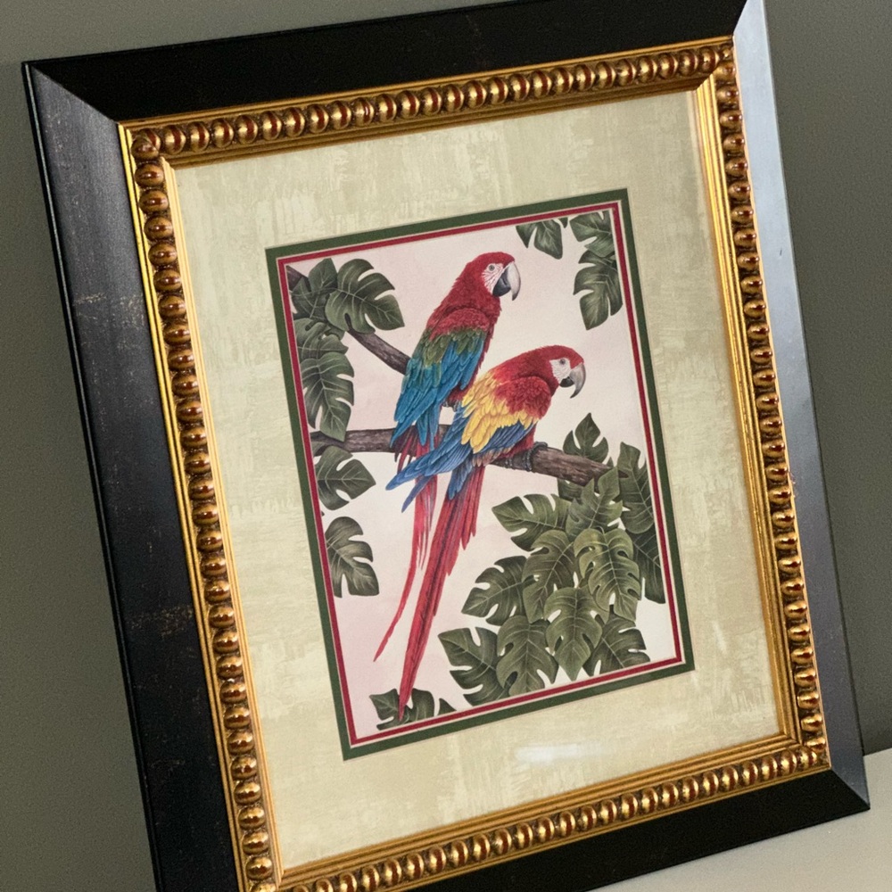 Framed Parrot Art with Gold and Black Frame